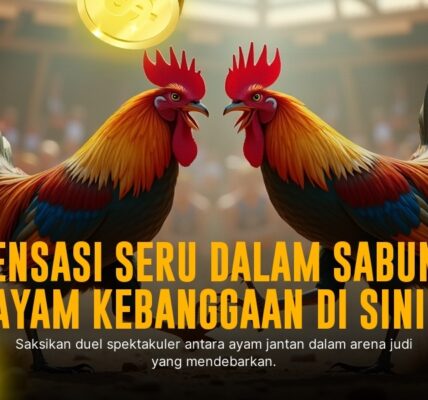 Mengenal Ayam Bangkok, Raja Sabung Ayam Terpopuler