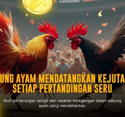 Mengenal Jenis Ayam Aduan Populer pada Sabung Ayam SV388