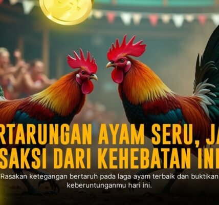 Mengenal Jenis Ayam Aduan dan Odds di SV388 Sabung Ayam