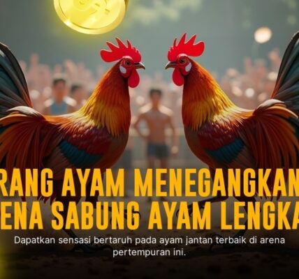 Mengenal Jenis Ayam Aduan Paling Populer di SV388