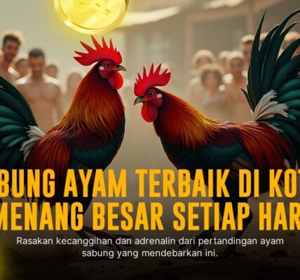 Rahasia Kemenangan Sabung Ayam SV388 yang Wajib Kamu Tahu