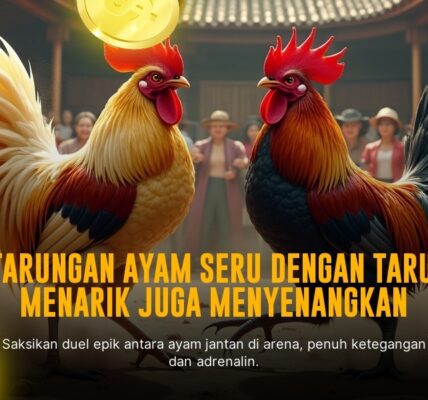Mengenal Ayam Aduan Sl128 dan Cara Menang Taruhan Sabung Ayam