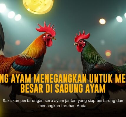 SV388: Kenali Jenis Ayam Aduan dan Peluang Menang di Sabung Ayam