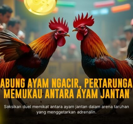 Mengenal Jenis Ayam Petarung dan Odds di SV388 Sabung Ayam