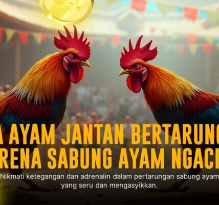 S128 : Memahami Jenis Ayam Aduan dalam Sabung Ayam Online