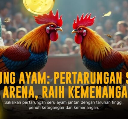 Mengenal Jenis Ayam Aduan SV388: Kunci Menang Sabung Ayam