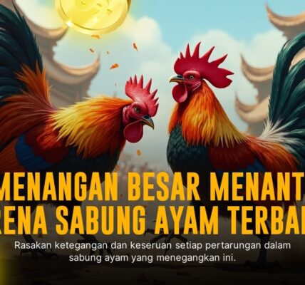 Mengenal Jenis Ayam Aduan Unggulan di SV388 Sabung Ayam