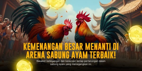 Mengenal Jenis Ayam Aduan Unggulan di SV388 Sabung Ayam