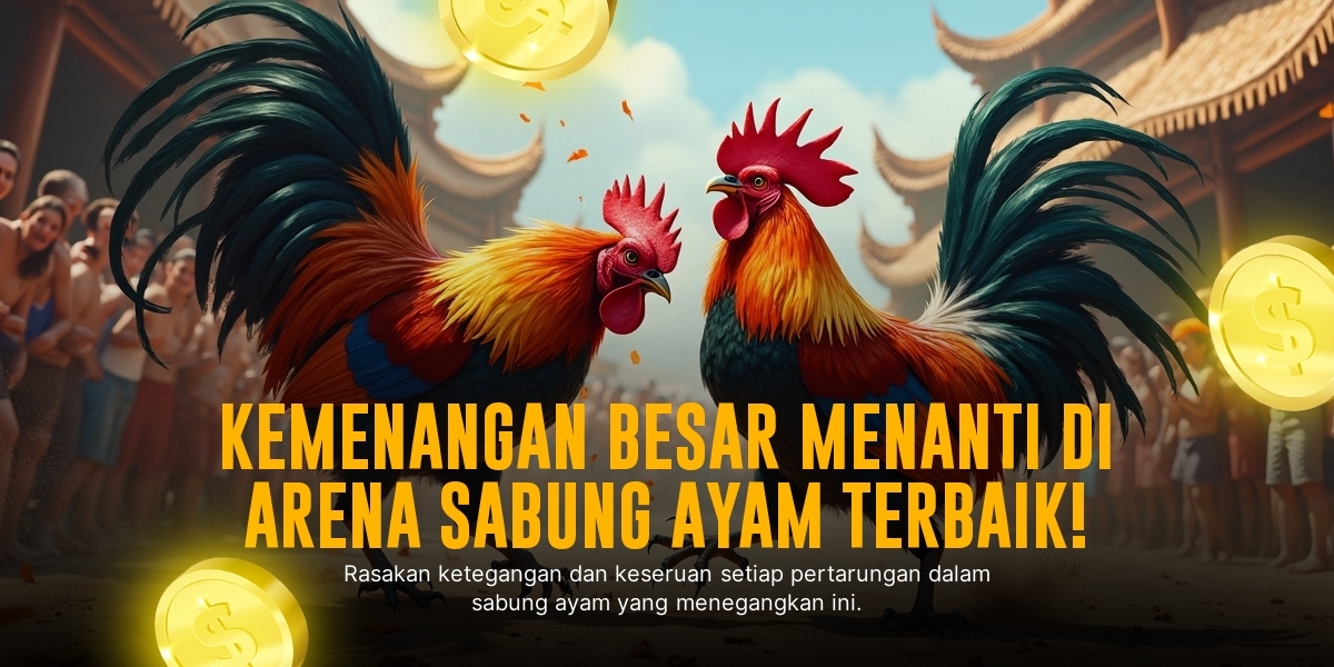 Mengenal Jenis Ayam Aduan Unggulan di SV388 Sabung Ayam