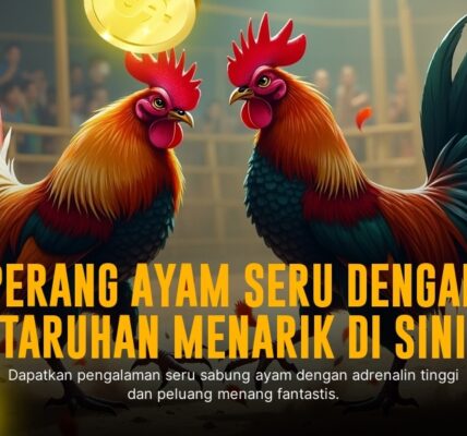 Mengenal Jenis Ayam Tarung dan Peluang Menang di SV388