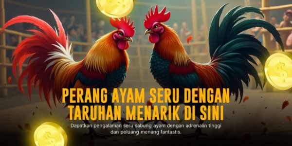 Mengenal Jenis Ayam Tarung dan Peluang Menang di SV388